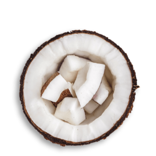 Yves Rocher México Higiene Natural Productos Naturales cosmética vegetal