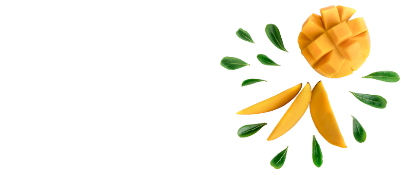 Yves Rocher México Higiene Natural Productos Naturales cosmética vegetal